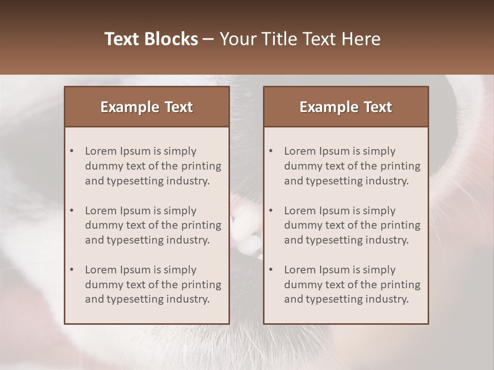 Lifestyle Portrait Pensioner PowerPoint Template