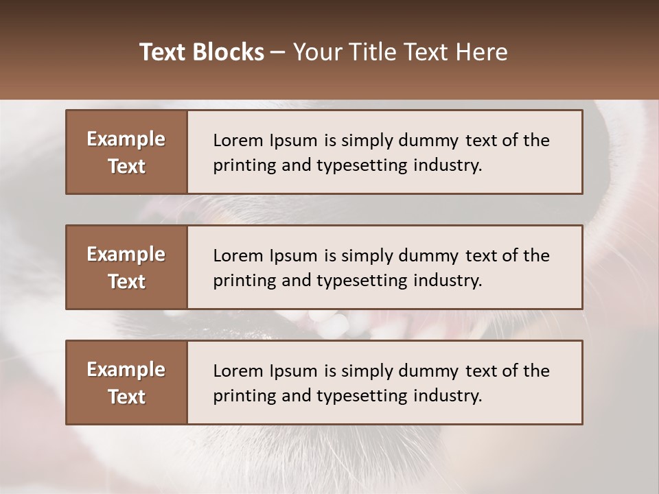 Lifestyle Portrait Pensioner PowerPoint Template