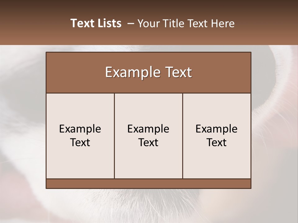Lifestyle Portrait Pensioner PowerPoint Template