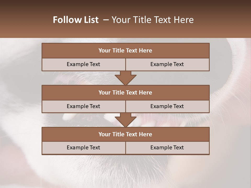 Lifestyle Portrait Pensioner PowerPoint Template