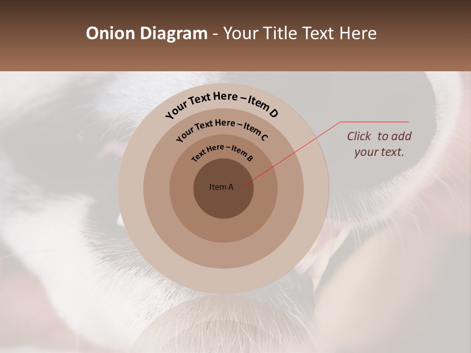 Lifestyle Portrait Pensioner PowerPoint Template