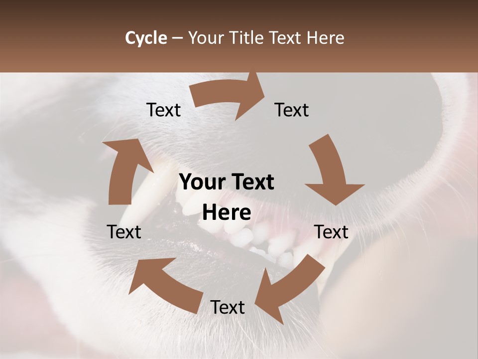 Lifestyle Portrait Pensioner PowerPoint Template