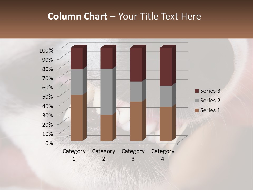 Lifestyle Portrait Pensioner PowerPoint Template