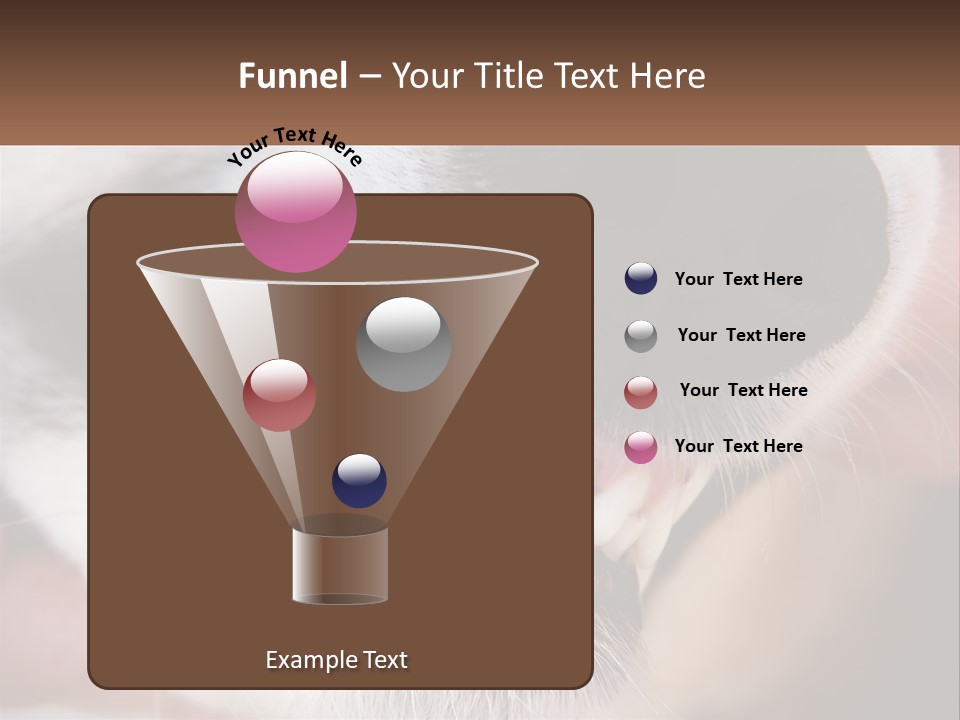 Lifestyle Portrait Pensioner PowerPoint Template