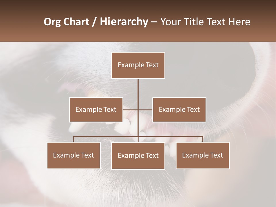 Lifestyle Portrait Pensioner PowerPoint Template