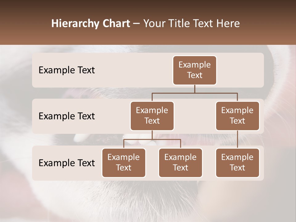 Lifestyle Portrait Pensioner PowerPoint Template