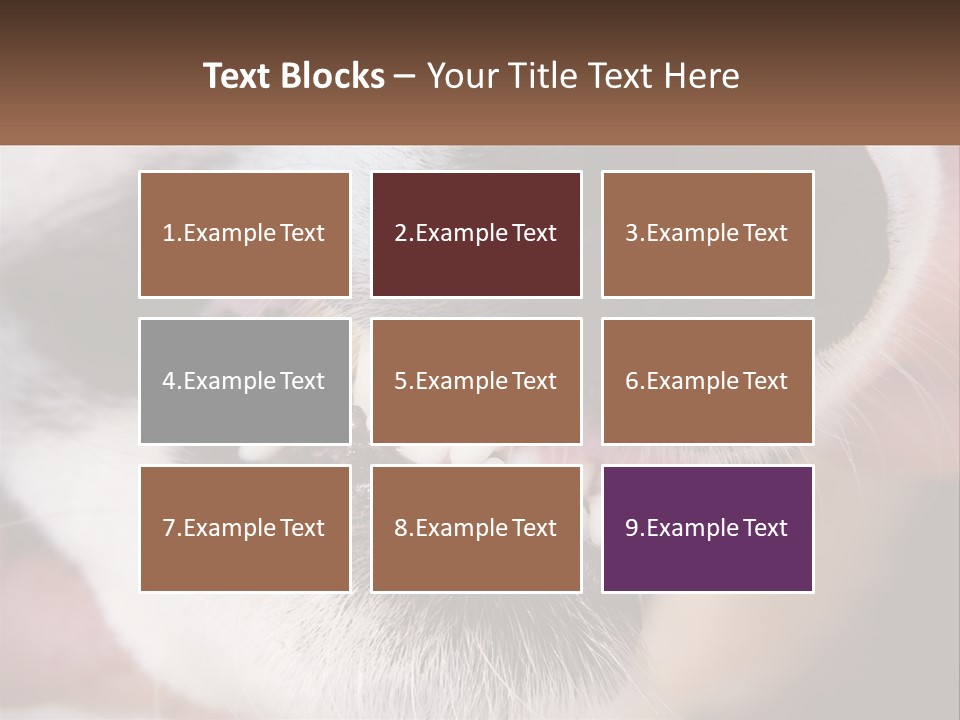 Lifestyle Portrait Pensioner PowerPoint Template