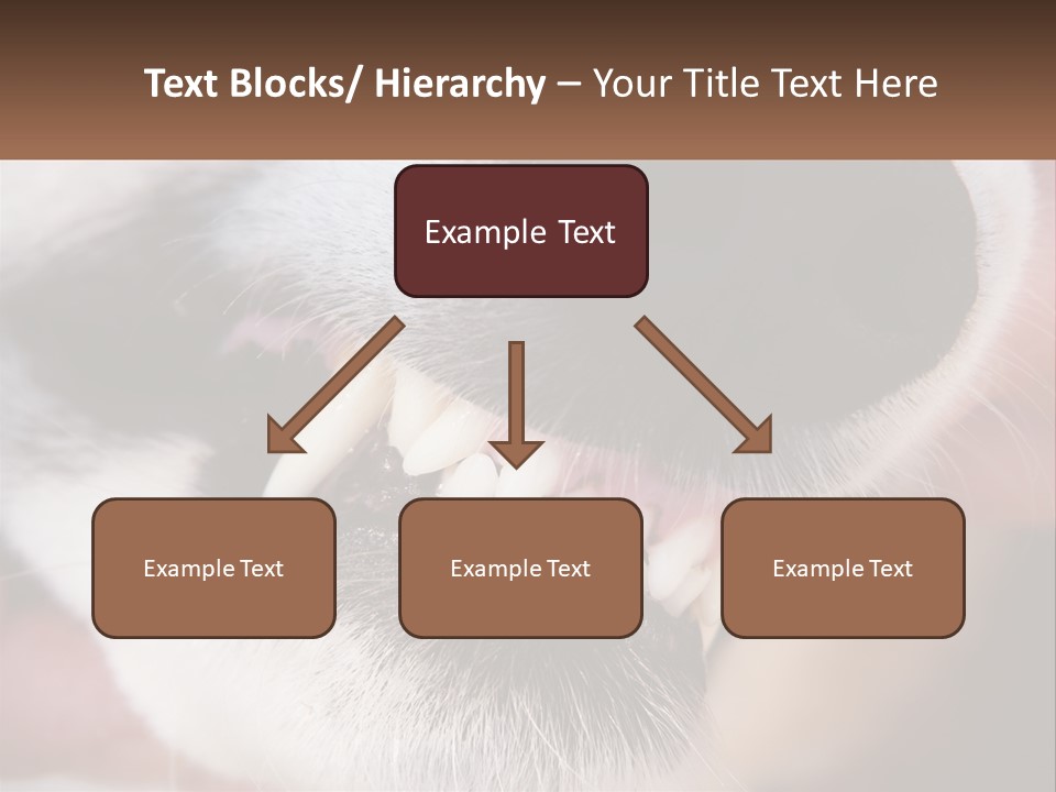 Lifestyle Portrait Pensioner PowerPoint Template