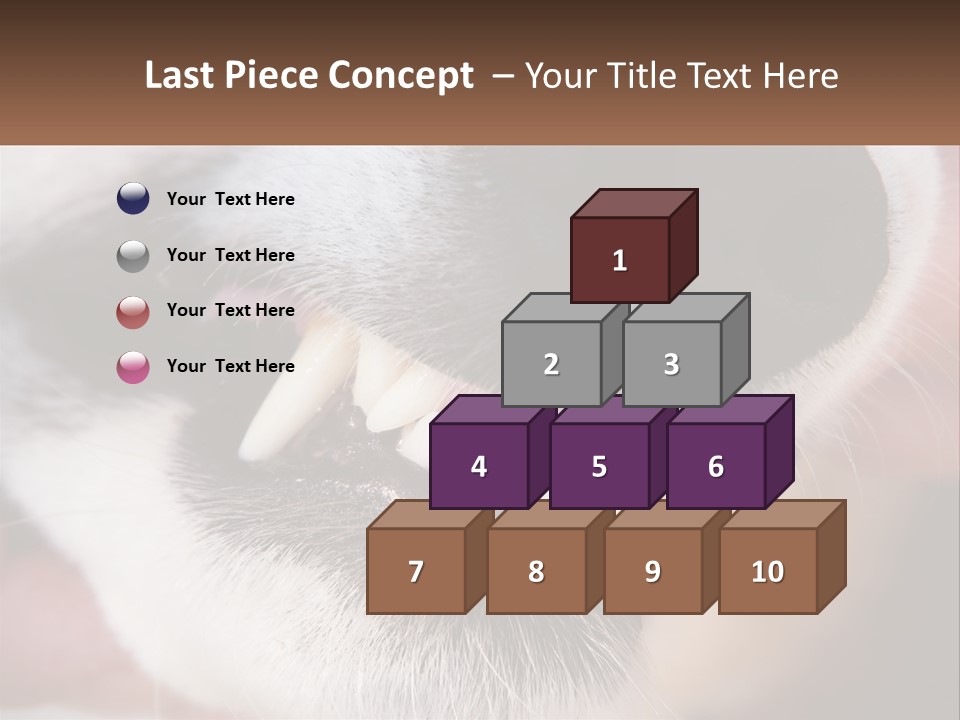 Lifestyle Portrait Pensioner PowerPoint Template