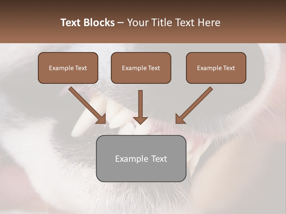 Lifestyle Portrait Pensioner PowerPoint Template