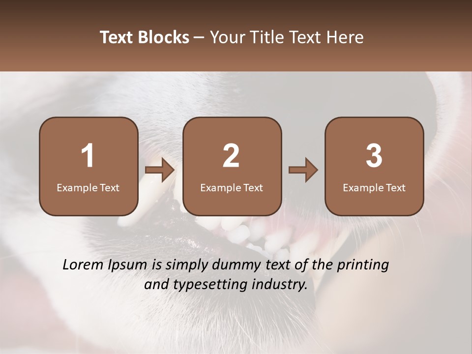 Lifestyle Portrait Pensioner PowerPoint Template