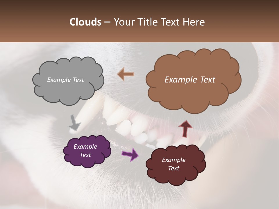 Lifestyle Portrait Pensioner PowerPoint Template
