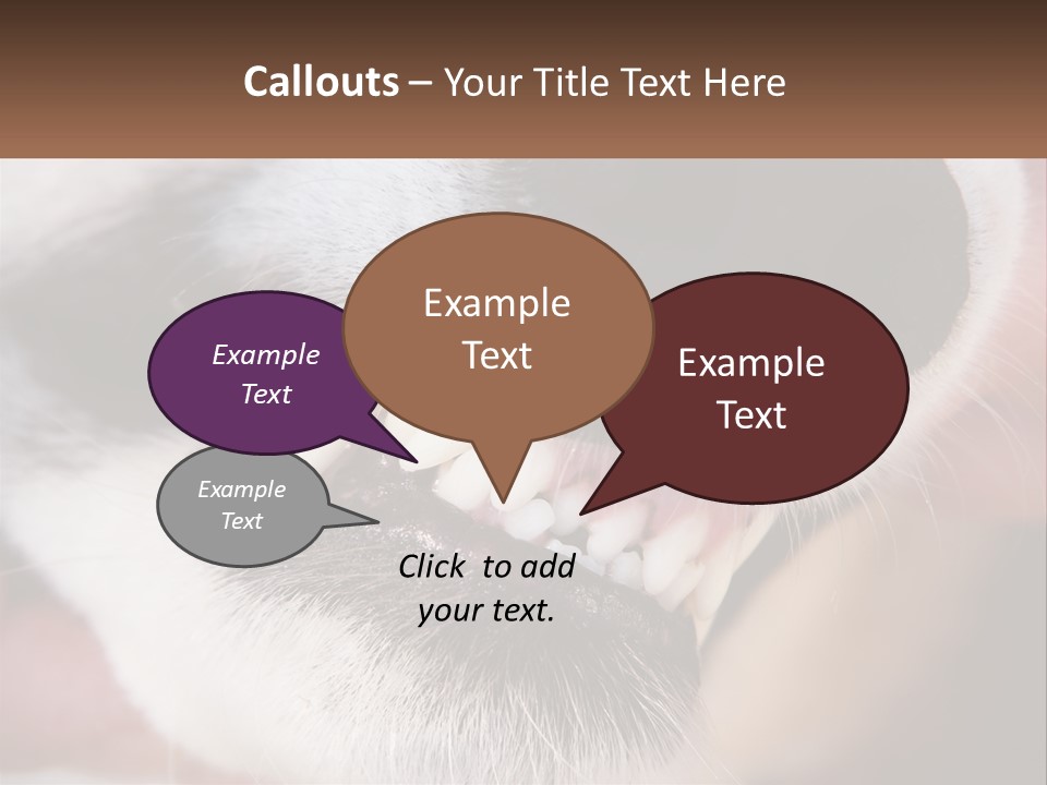 Lifestyle Portrait Pensioner PowerPoint Template