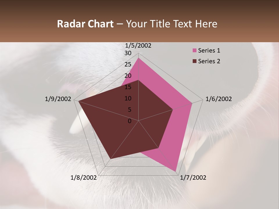 Lifestyle Portrait Pensioner PowerPoint Template