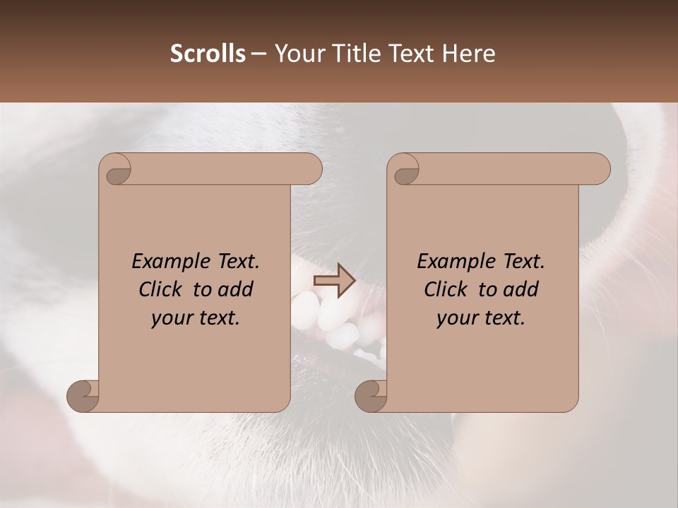 Lifestyle Portrait Pensioner PowerPoint Template