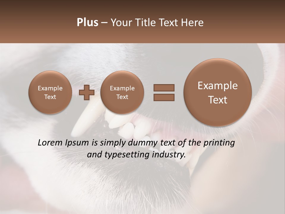 Lifestyle Portrait Pensioner PowerPoint Template