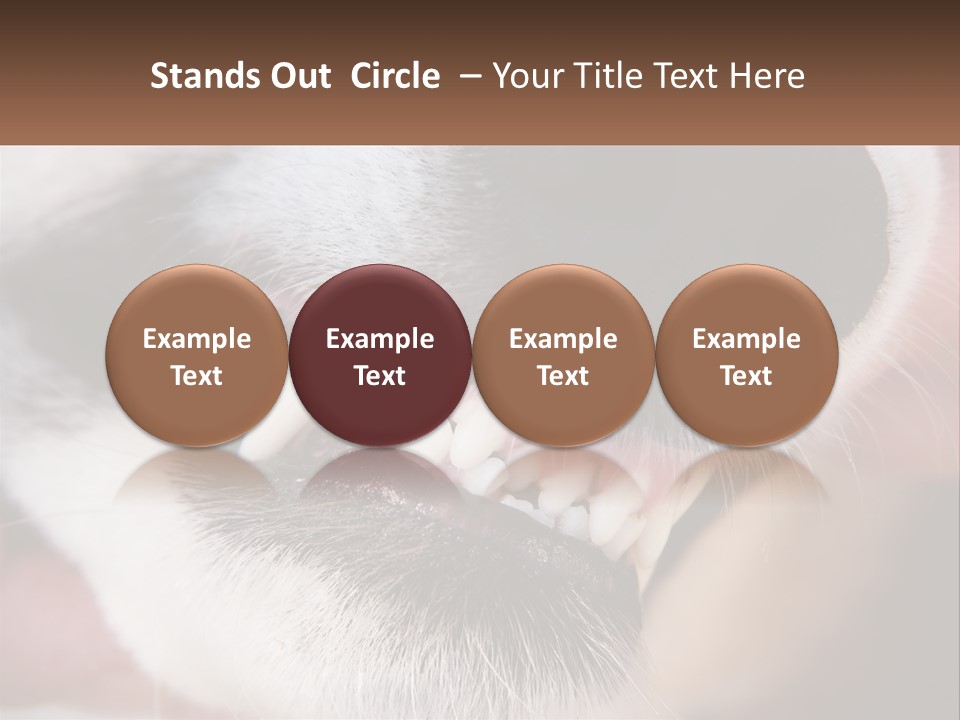 Lifestyle Portrait Pensioner PowerPoint Template