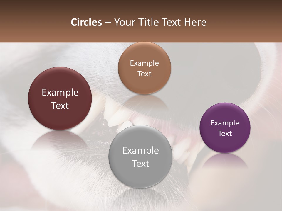 Lifestyle Portrait Pensioner PowerPoint Template