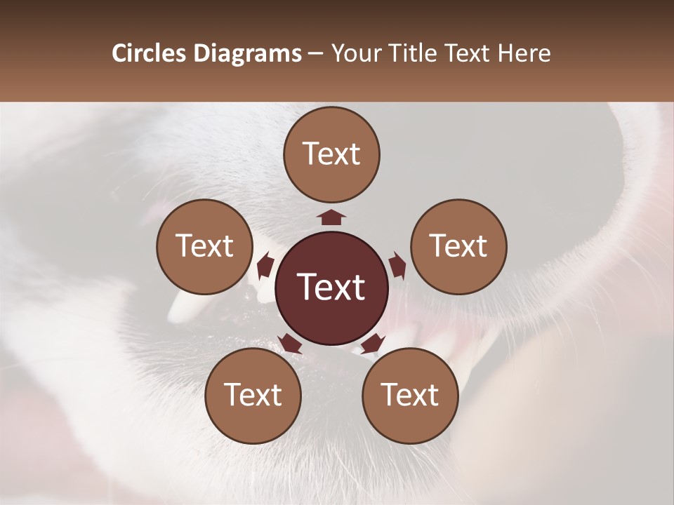 Lifestyle Portrait Pensioner PowerPoint Template