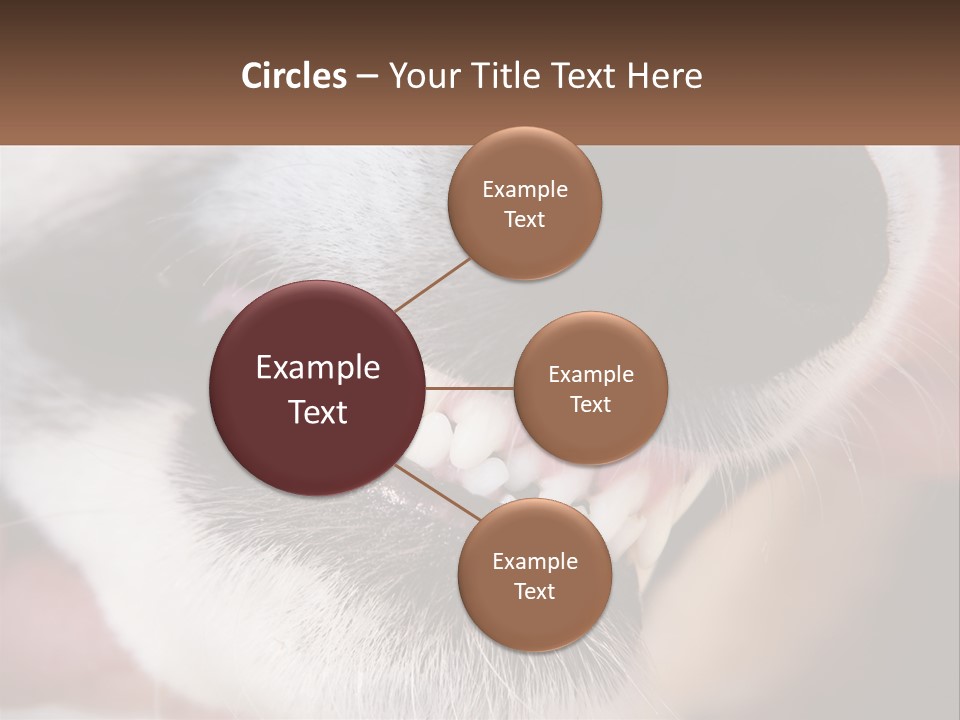 Lifestyle Portrait Pensioner PowerPoint Template