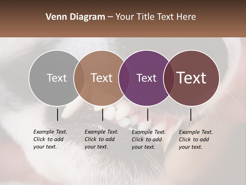 Lifestyle Portrait Pensioner PowerPoint Template