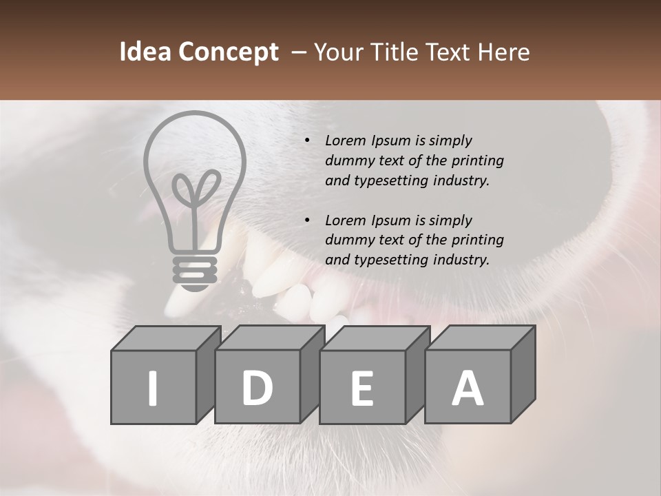 Lifestyle Portrait Pensioner PowerPoint Template