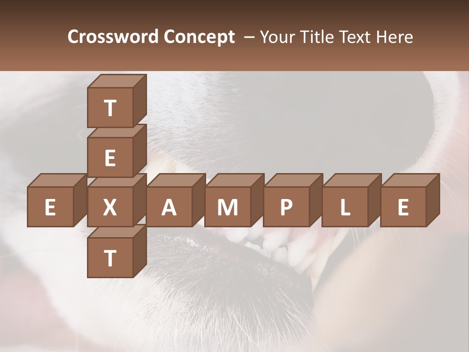 Lifestyle Portrait Pensioner PowerPoint Template