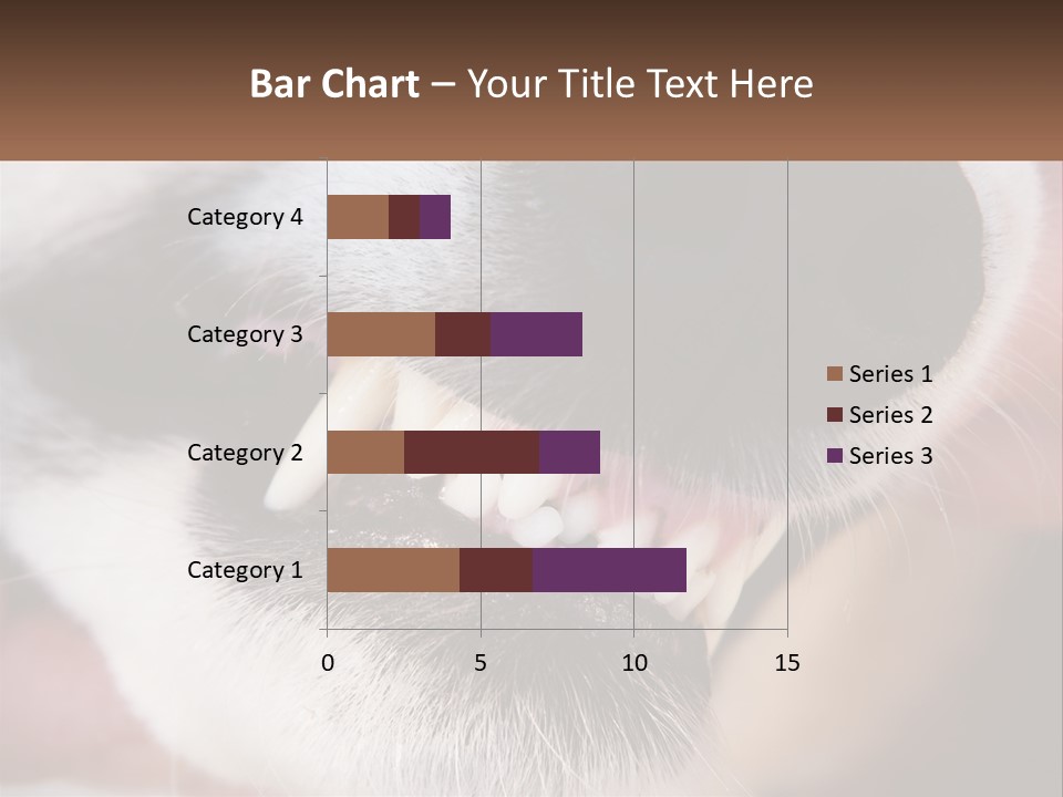 Lifestyle Portrait Pensioner PowerPoint Template