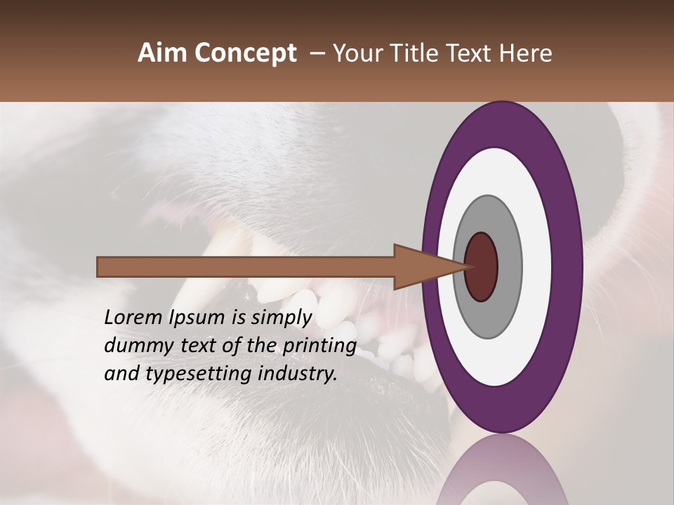 Lifestyle Portrait Pensioner PowerPoint Template