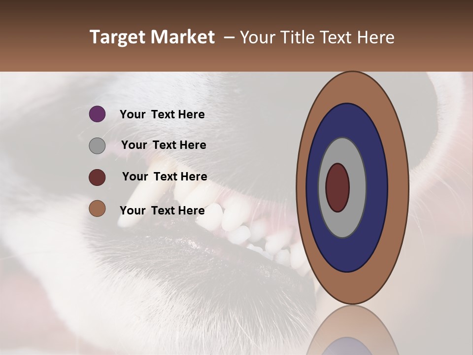 Lifestyle Portrait Pensioner PowerPoint Template