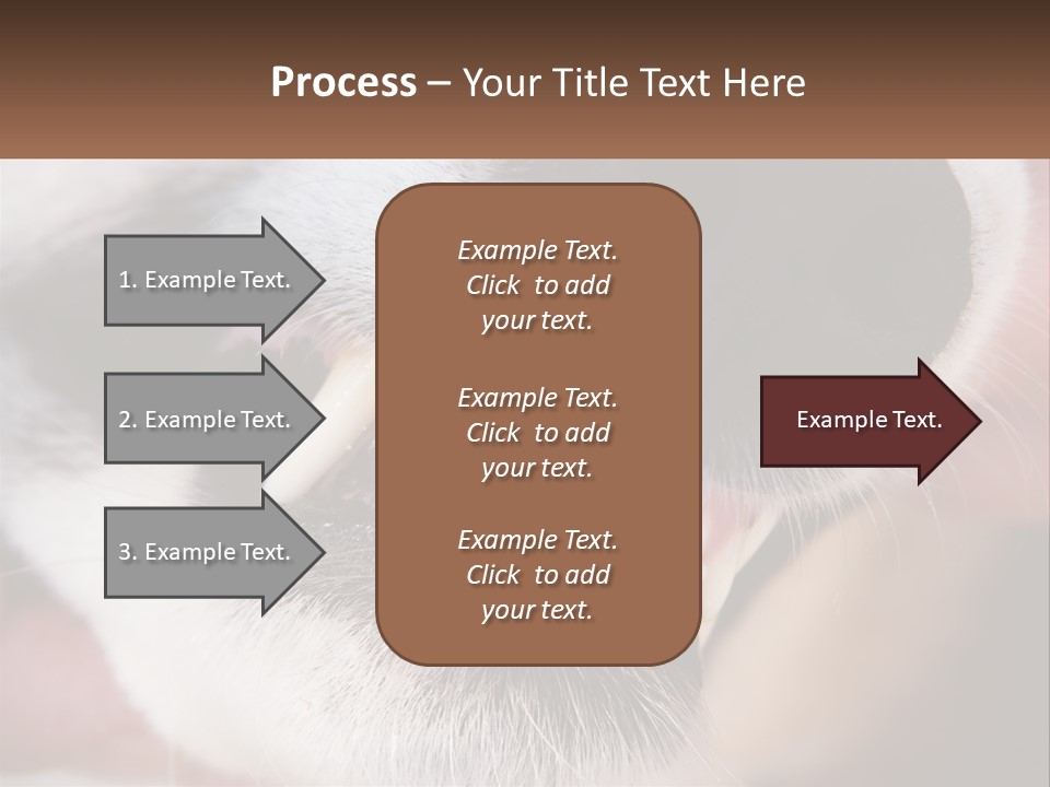 Lifestyle Portrait Pensioner PowerPoint Template