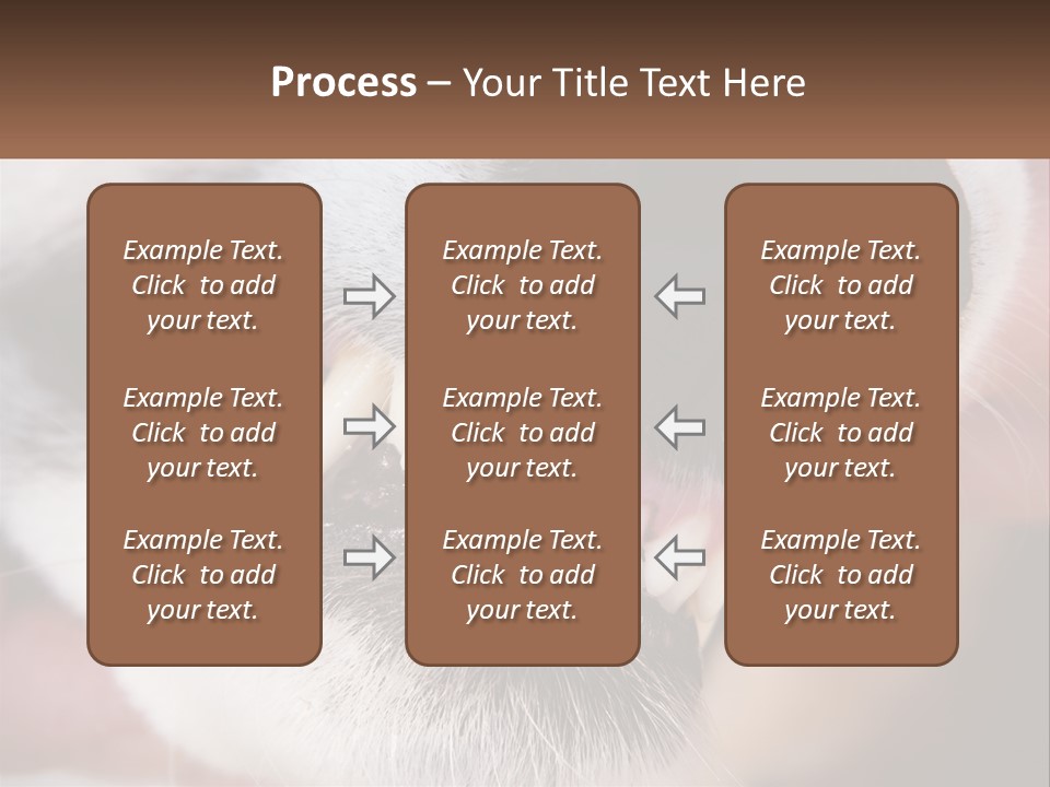 Lifestyle Portrait Pensioner PowerPoint Template