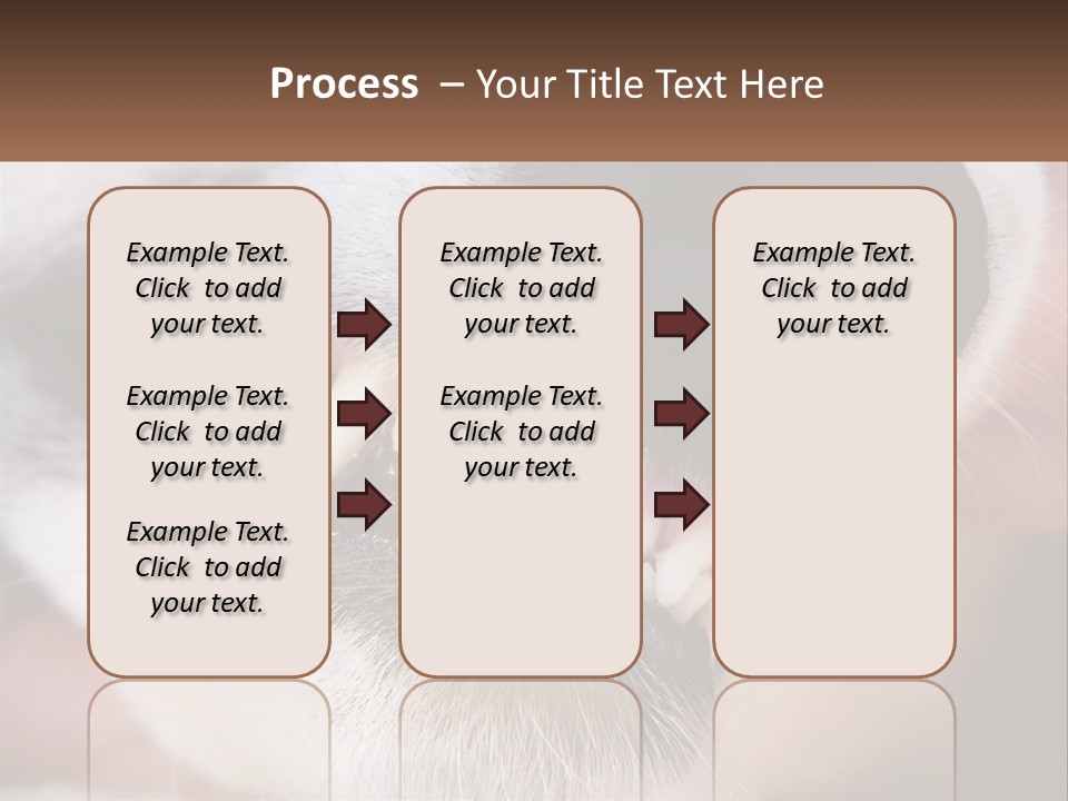 Lifestyle Portrait Pensioner PowerPoint Template