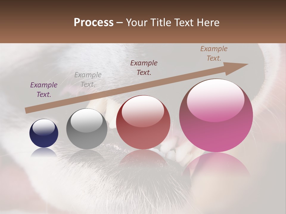 Lifestyle Portrait Pensioner PowerPoint Template