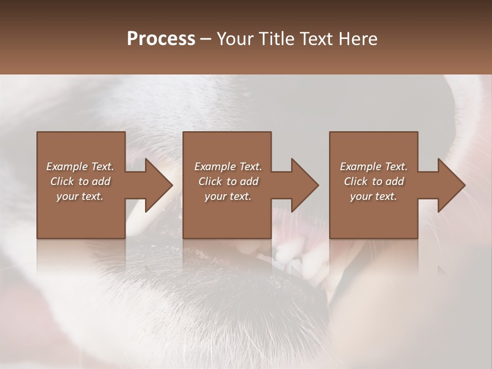 Lifestyle Portrait Pensioner PowerPoint Template