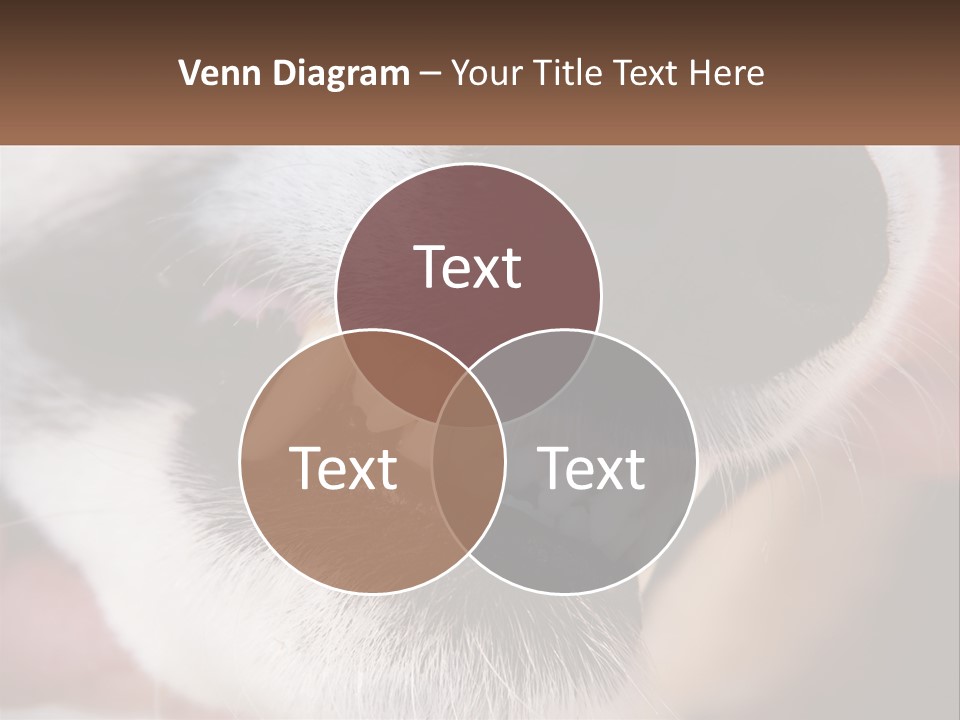 Lifestyle Portrait Pensioner PowerPoint Template