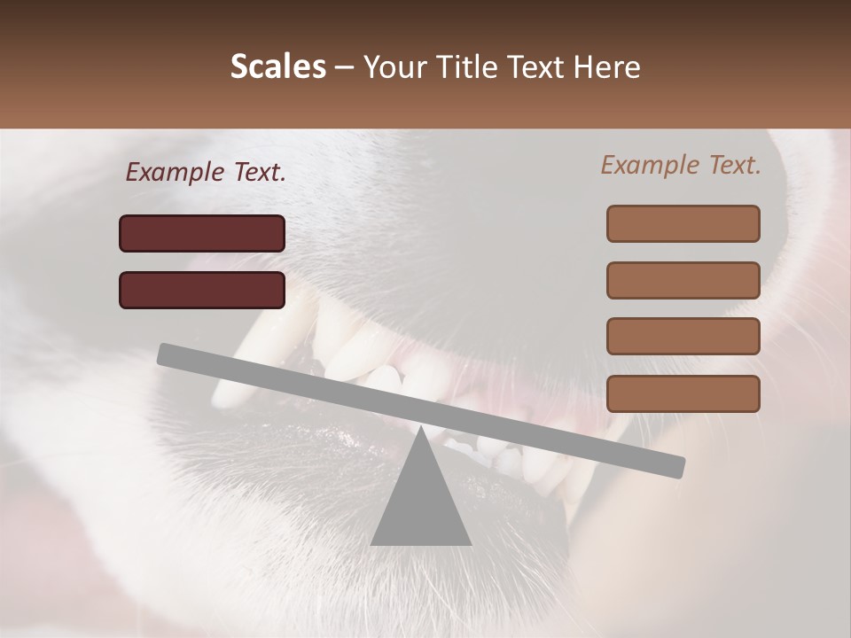 Lifestyle Portrait Pensioner PowerPoint Template