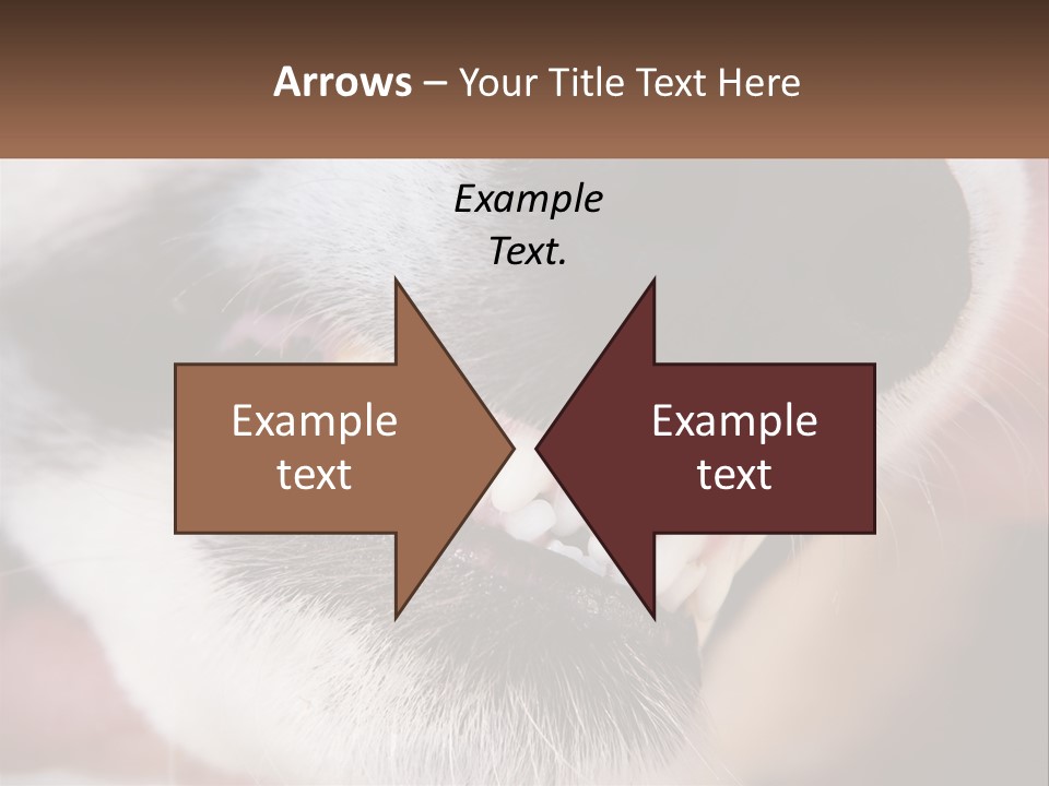 Lifestyle Portrait Pensioner PowerPoint Template