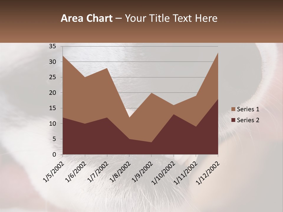 Lifestyle Portrait Pensioner PowerPoint Template