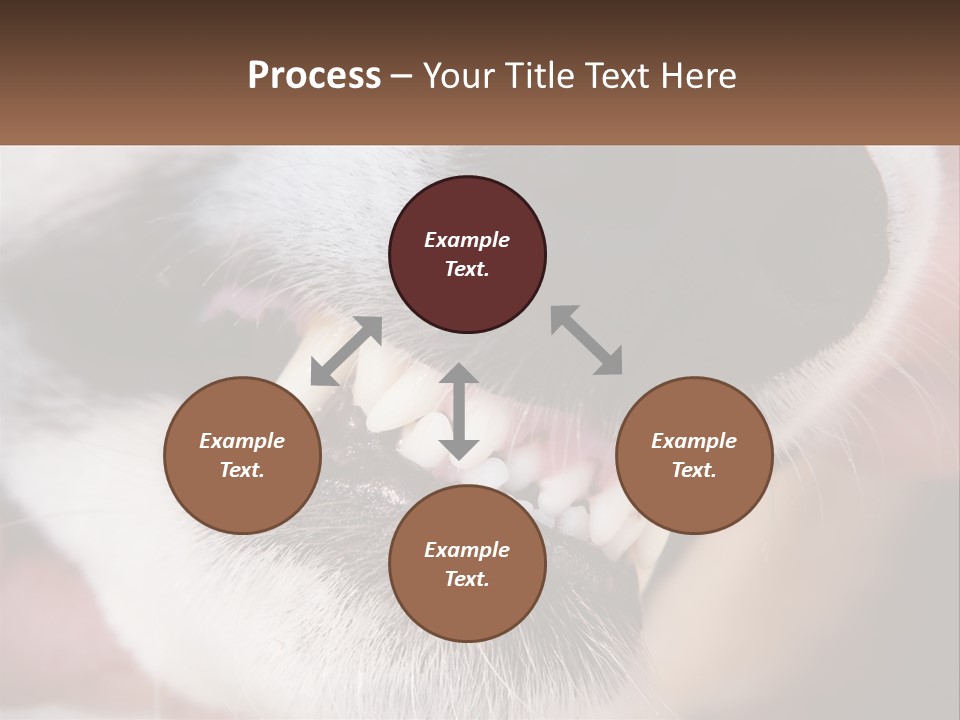 Lifestyle Portrait Pensioner PowerPoint Template