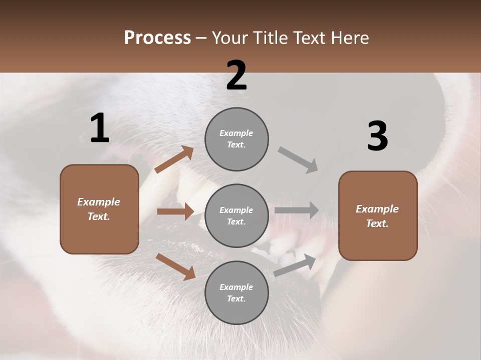 Lifestyle Portrait Pensioner PowerPoint Template