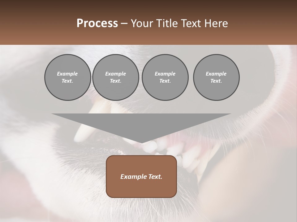 Lifestyle Portrait Pensioner PowerPoint Template