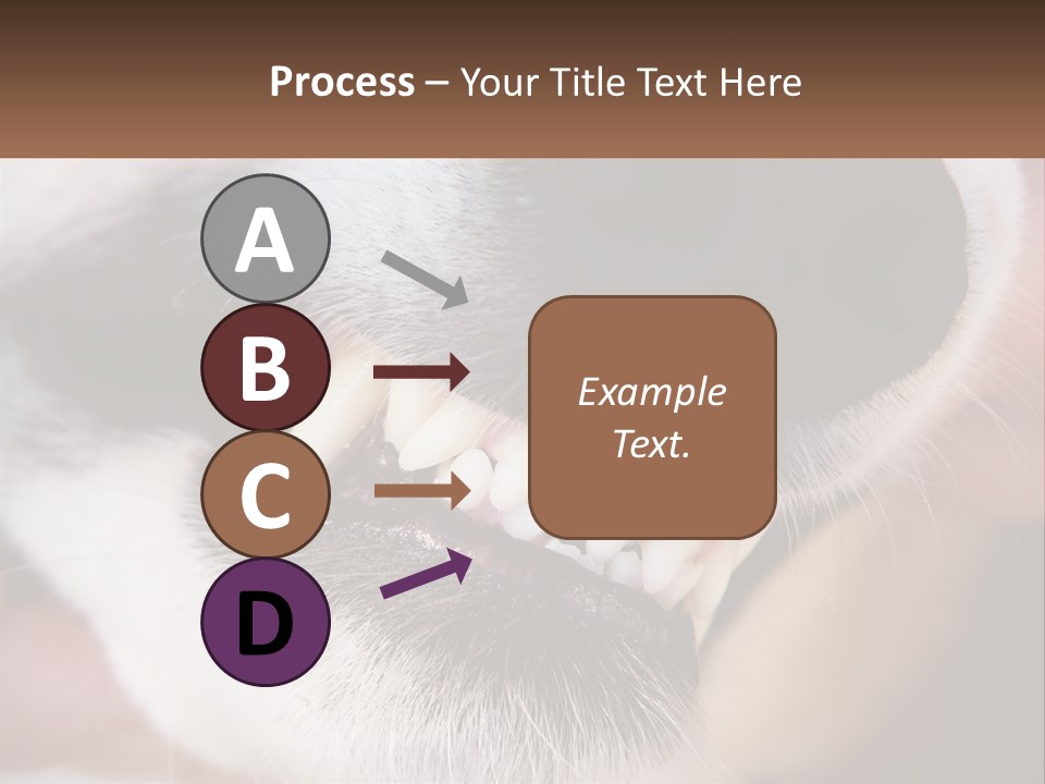 Lifestyle Portrait Pensioner PowerPoint Template