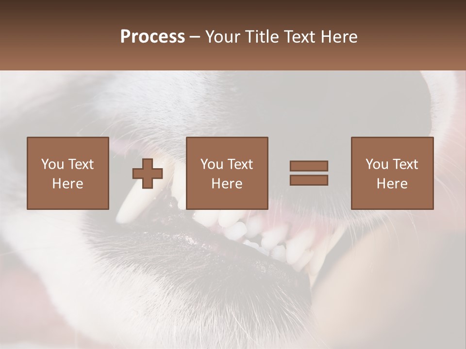 Lifestyle Portrait Pensioner PowerPoint Template