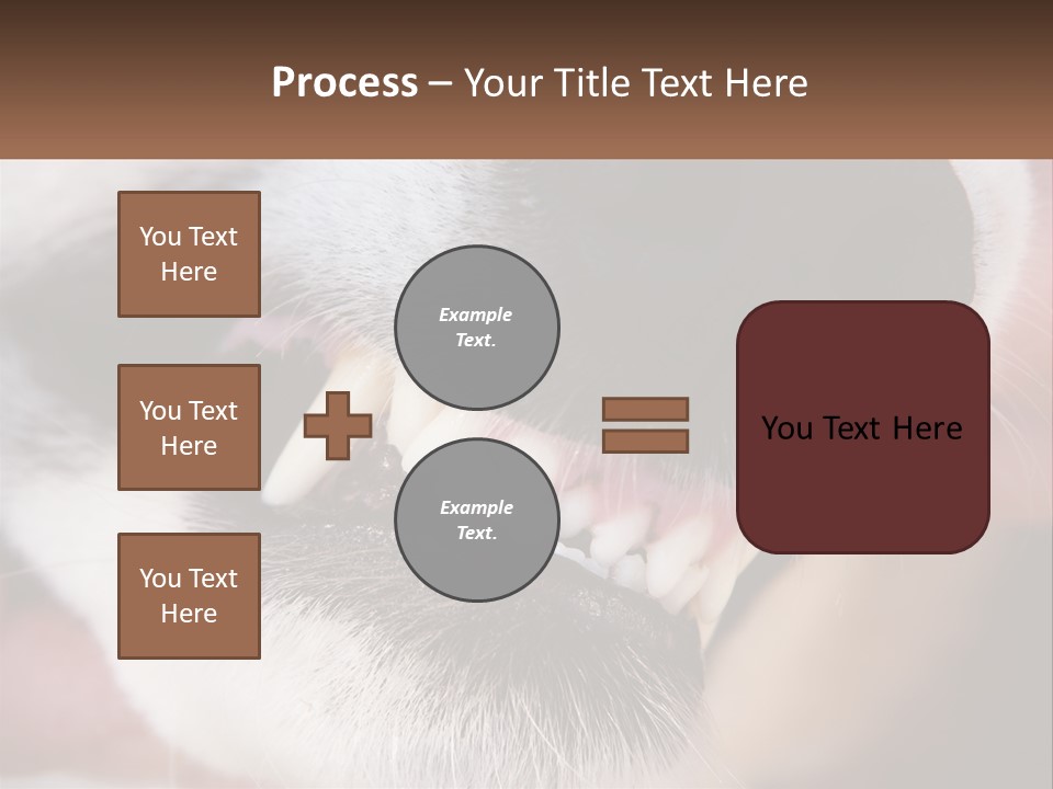 Lifestyle Portrait Pensioner PowerPoint Template