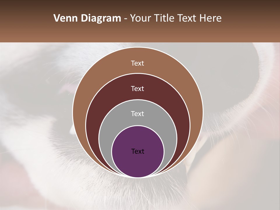 Lifestyle Portrait Pensioner PowerPoint Template