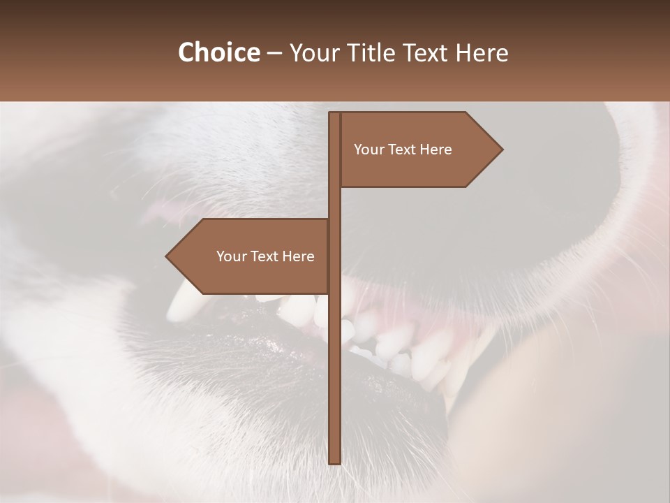 Lifestyle Portrait Pensioner PowerPoint Template