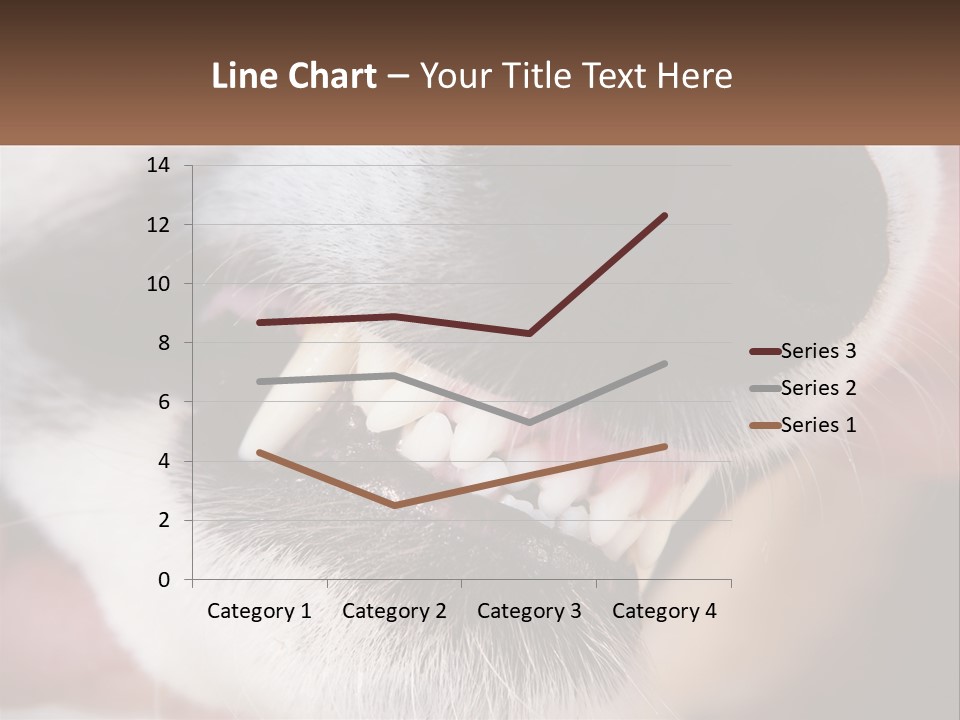 Lifestyle Portrait Pensioner PowerPoint Template