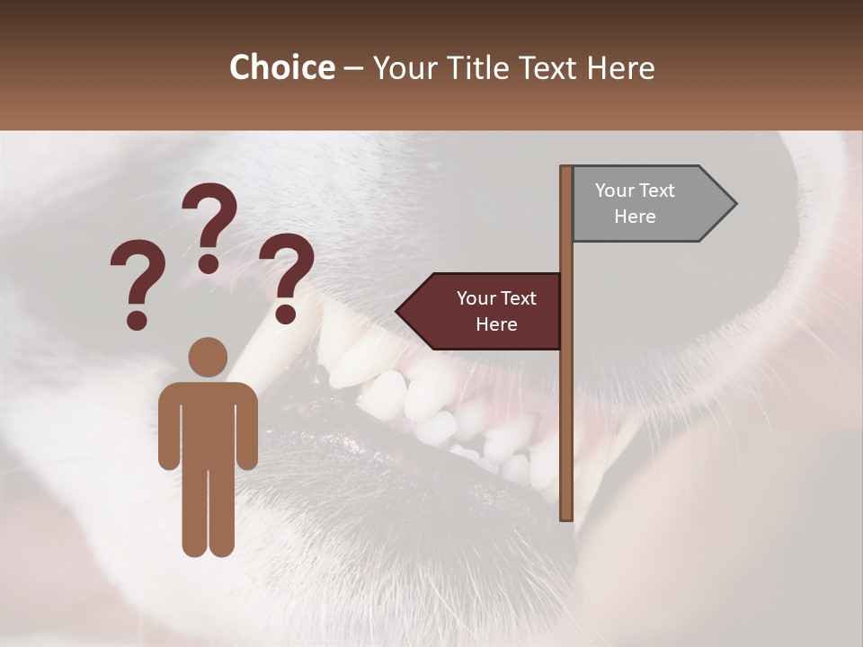 Lifestyle Portrait Pensioner PowerPoint Template