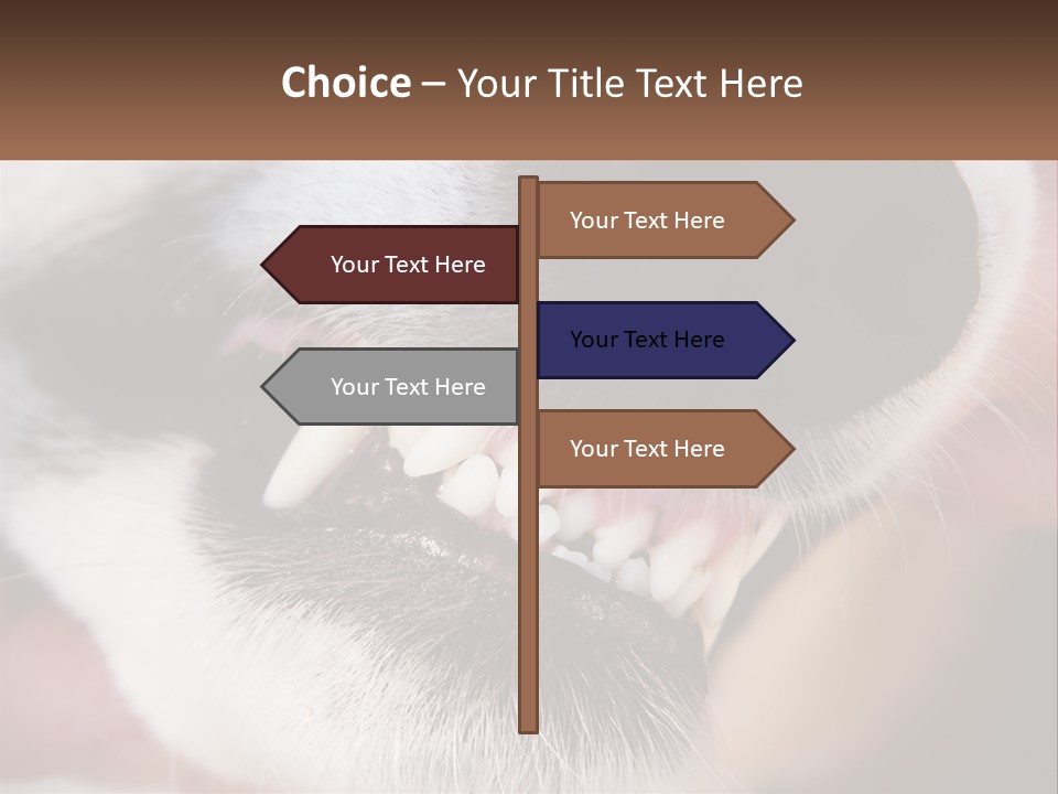 Lifestyle Portrait Pensioner PowerPoint Template